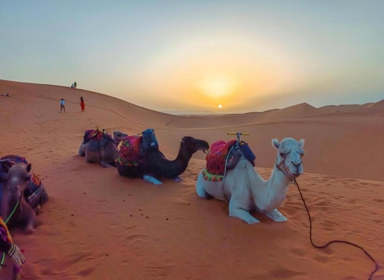 Merzouga Lovely Luxury Camp Exteriér fotografie